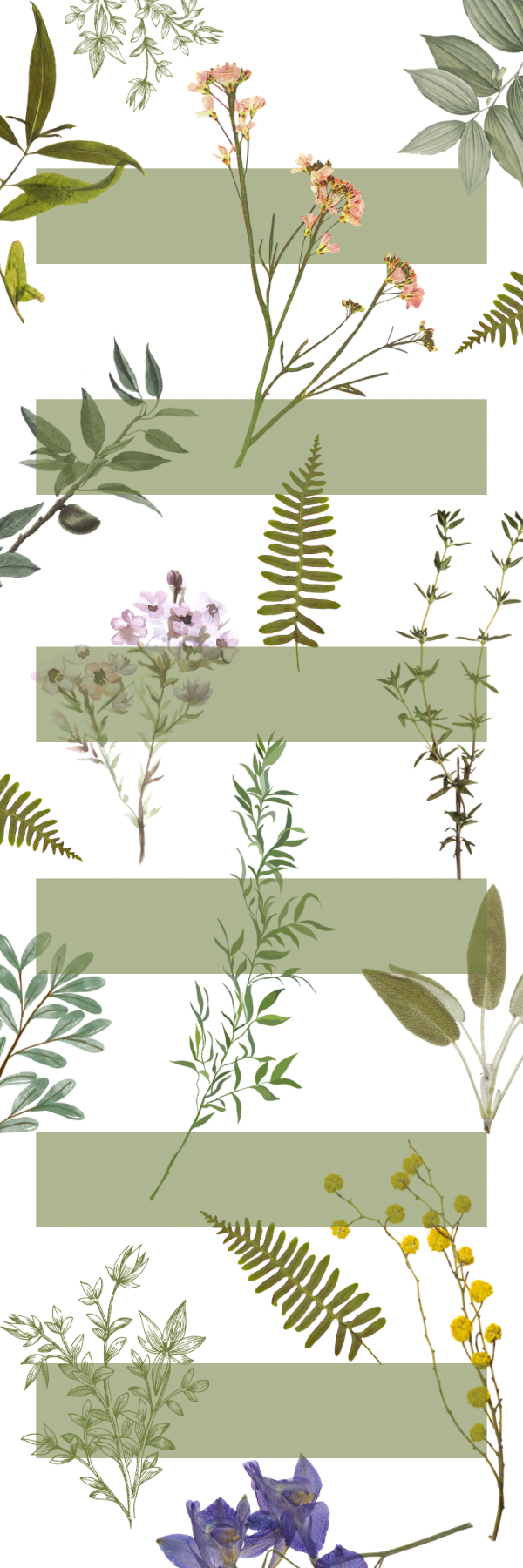 Floral w/ annotation
