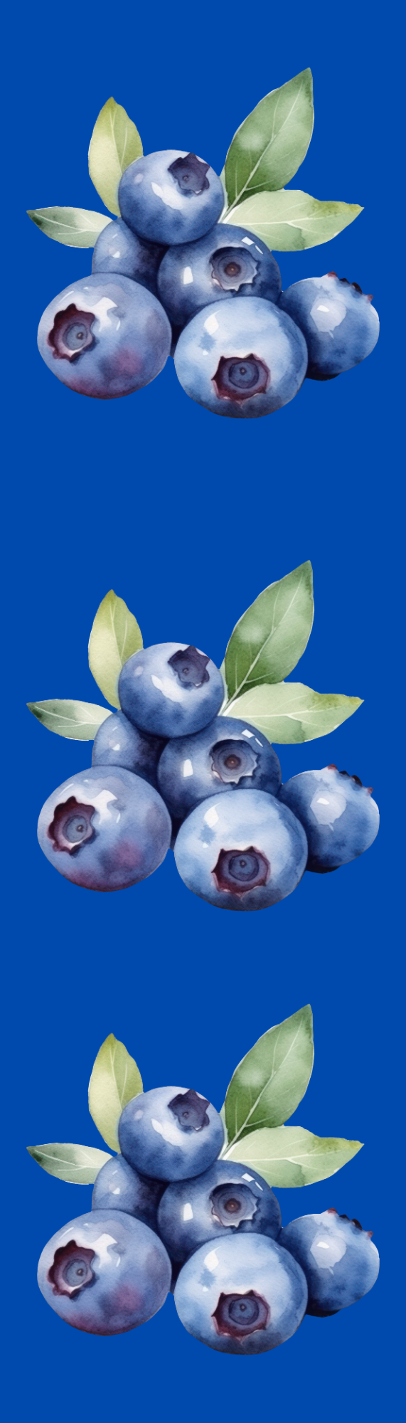Blueberries