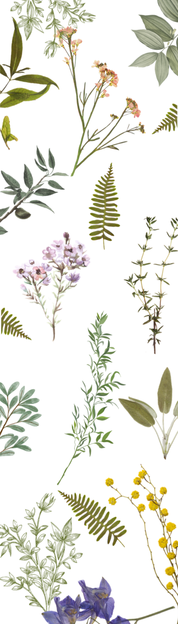 Floral